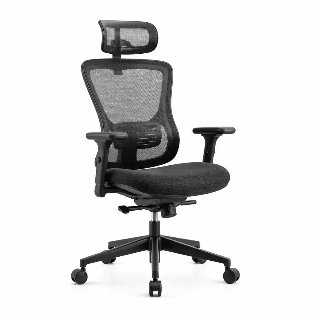 Ergonomic Office Chair