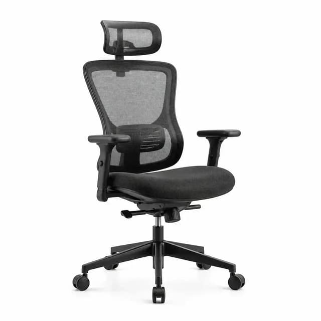 Ergonomic Office Chair