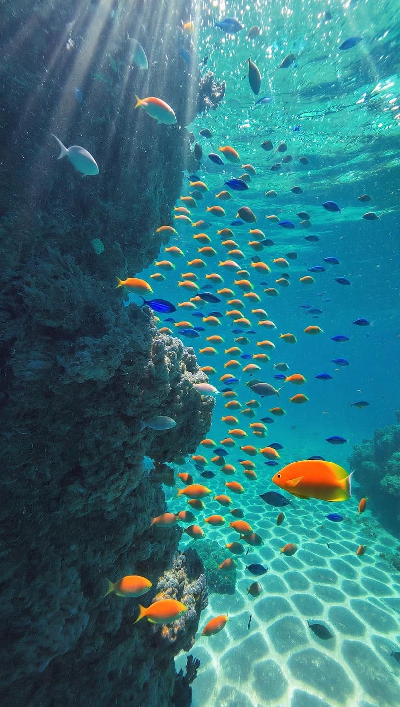 Underwater Ballet
